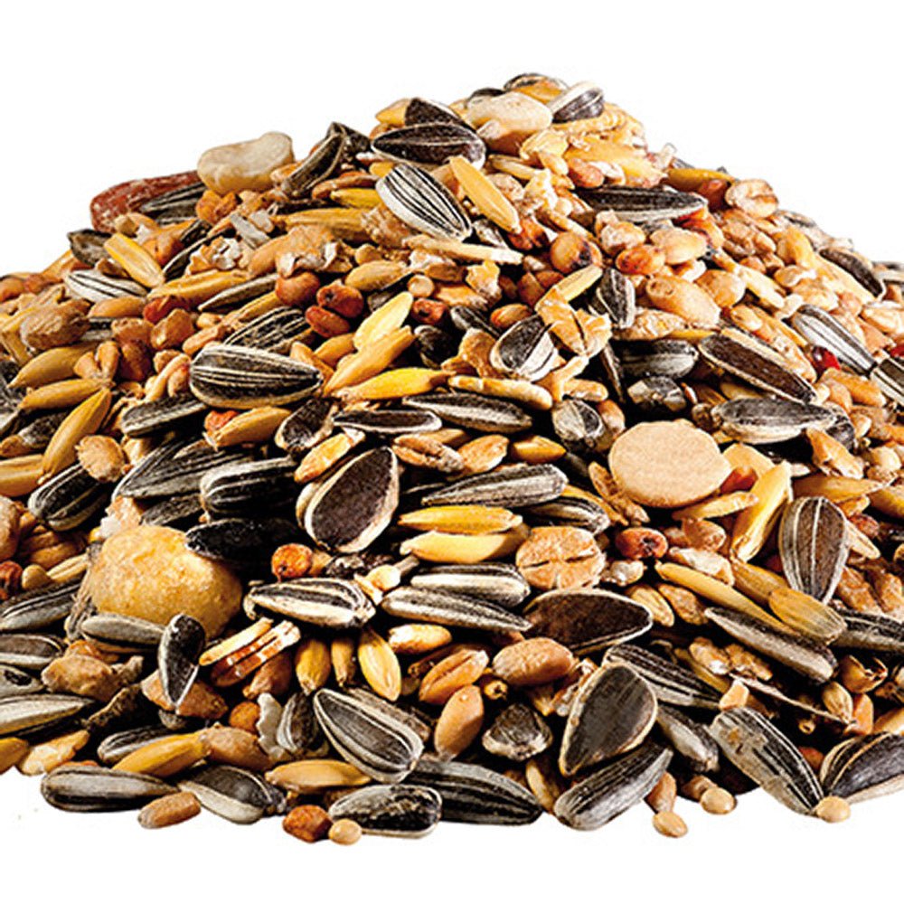 Hrana pentru pasari salbatice PANTO 4 anotimpuri, 1kg, cu pluramin ...